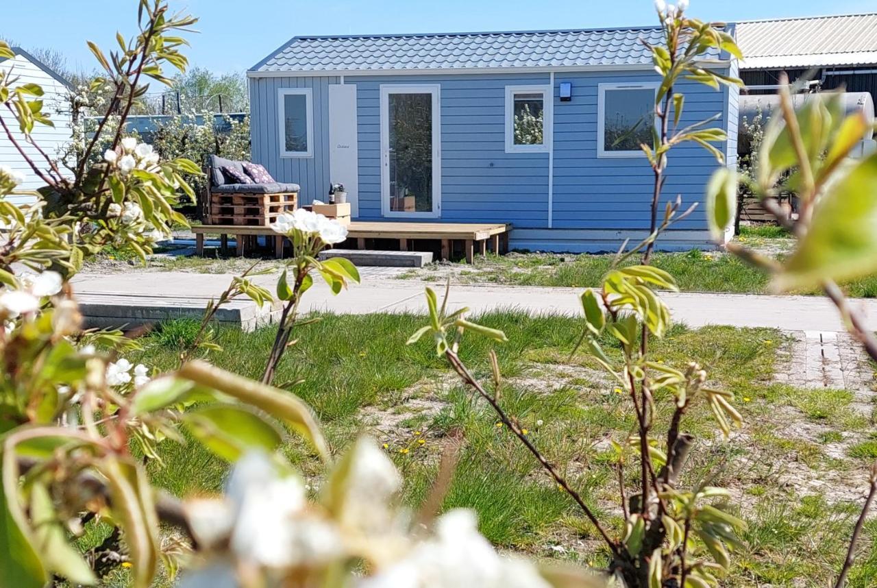 Chalet Elstar Hengstdijk Exterior photo
